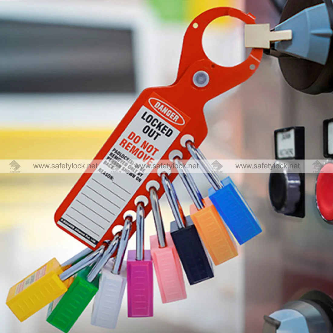 double locking labelled lockout hasp