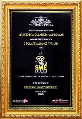 E-Square's Legacy of Success: Recognized as National SME Icon by Times of India