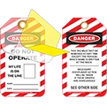 Laminated Tags